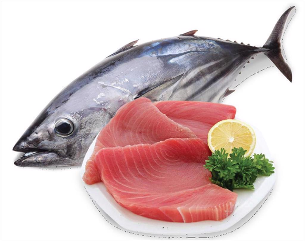 Vietnams tuna exports to the US decreased by 27% in QIV2022