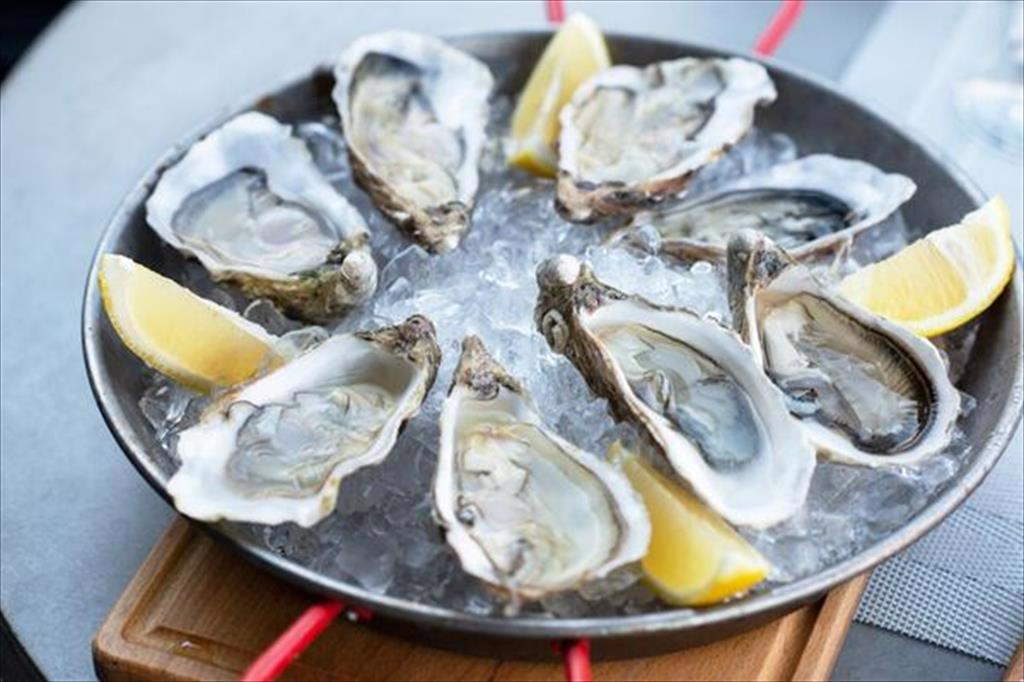 Vietnam, Japan boost cooperation in oyster production chains