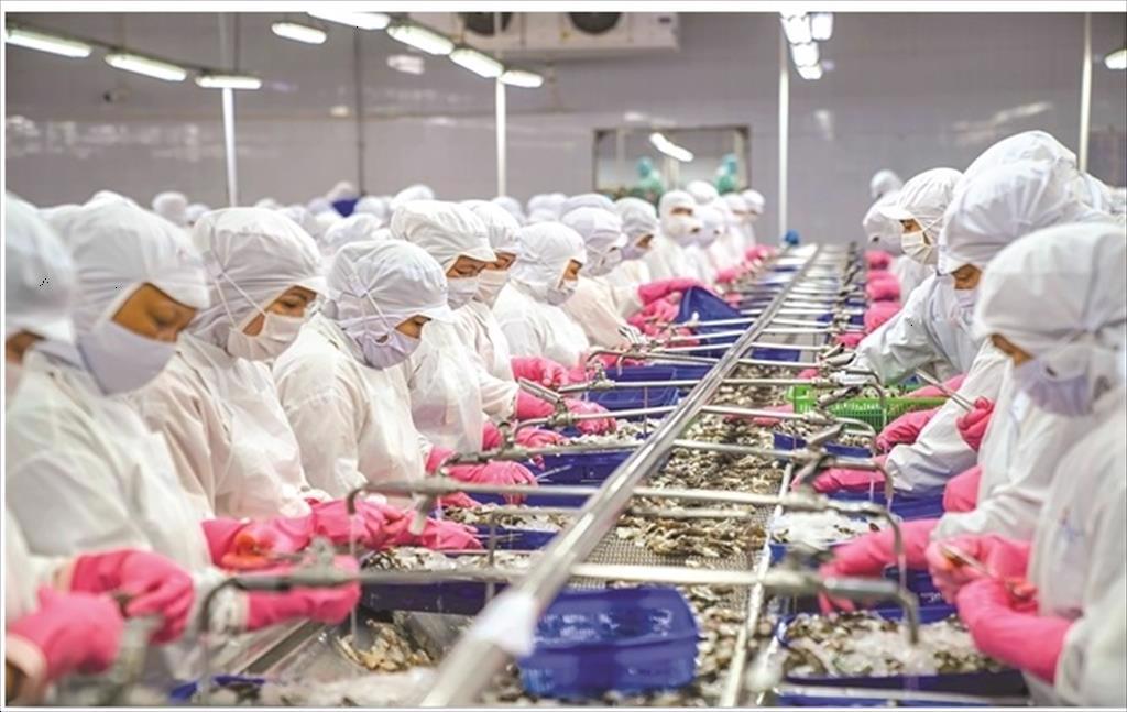 Eearning trillions of vnd from shrimp heads and fish tails