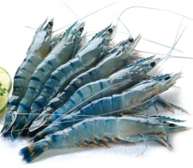 Big increase in Vietnam shrimp exports to China