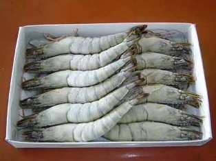 Argentina Shrimp price varied slightly in March 2014