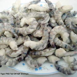 Spain Stability in shrimp price