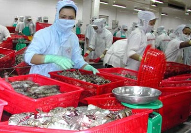 Tra Vinh Surge in seafood exports in Jan-Jun 2017