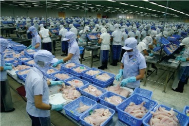China’s reduced import tax boosts Vietnam’s tra fish export