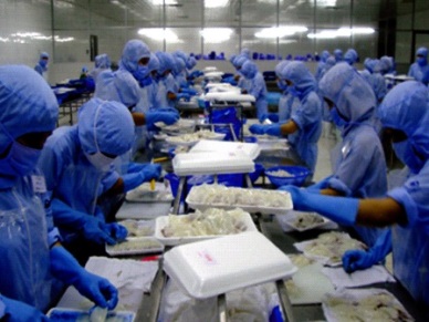 Vietnam cephalopod sales to France rocketed