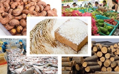 CPTPP to help Vietnam export more to Australia