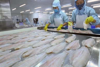 Singapore - bright spot in VNs  pangasius exports to ASEAN
