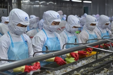 Agro-forestry-fishery exports to US, EU hit by COVID-19