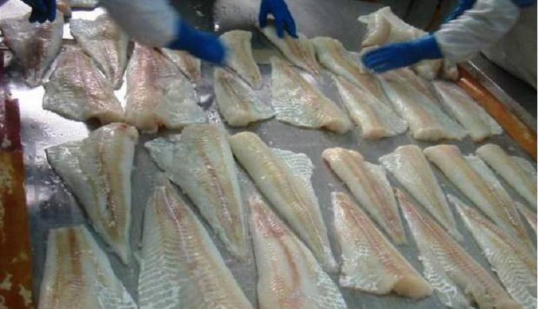 Tough year ahead for Chinese whitefish plants 