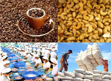 Agro-forestry-fishery exports reach 26.4 billion USD