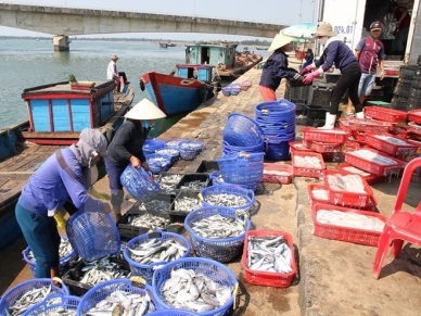 Agro-forestry-fishery exports hit 33 billion USD