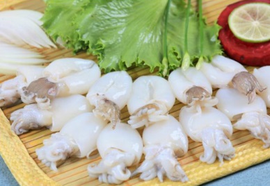 Vietnam cephalopod exports to Italy recorded good growth