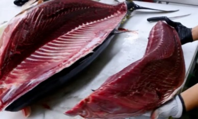 Positive signs in shrimp, tuna sales to EU 