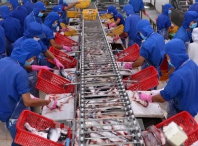 Many opportunities for Vietnam pangasius exports to 10 CPTPP countries