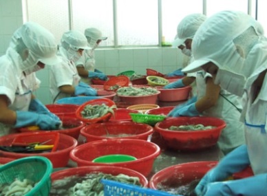 Vietnam seafood exports in Jan-Feb 2016 up 7.2%