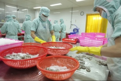 2016 Vietnam seafood export turnover may exceed $7 billion