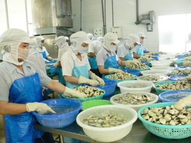 Vietnam bivalve mollusk exports up in Jan-Feb 2016