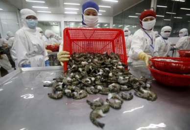 Affluent China emerges as Vietnam’s major seafood buyer