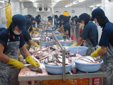 Kien Giang boosts exports in remaining months