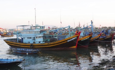 Fish catches recovering after COVID-19 in central provinces