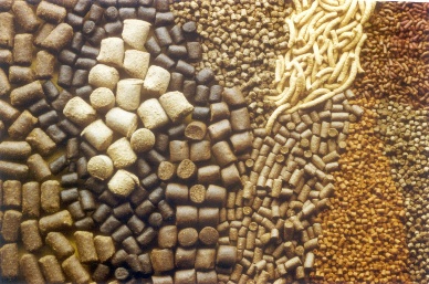 Responsible Fishmeal for Asian Aquaculture Industry