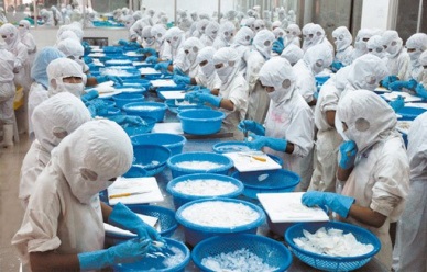 Agro-forestry-fishery exports fetch 12.4 billion USD in four months