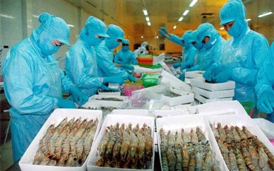 Vietnam to join EU Trade Control and Expert System