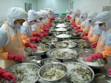New rules require fish and fishery processors to eCertify
