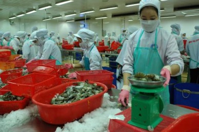 Transparency for sustainable development