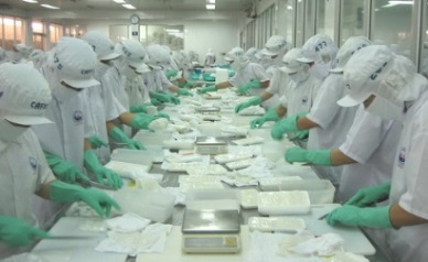Up 53.3% in Vietnam cephalopod exports 
