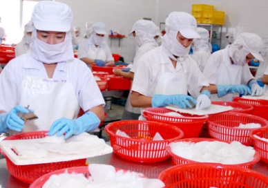 Korea remained the 1st in importing Vietnamese cephalopod