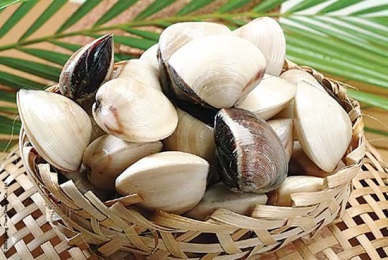 Spain – largest importer of Vietnam processed bivalve molluscs