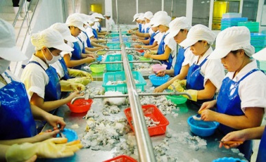 Vietnam seafood exports Jan - Feb 2016