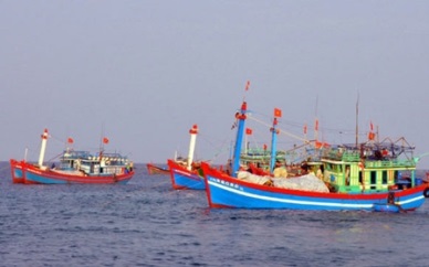 Vietnam striving to combat IUU fishing Spanish official