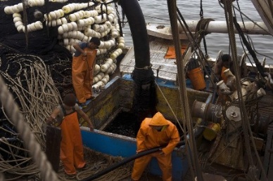 Peru The fishing industry began to rebound