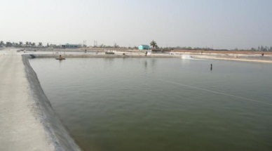 Binh Thuan Diversify the farmed aquatic species 