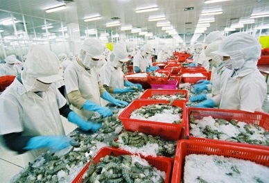 Seafood export turnover expected to hit 8.3 billion USD