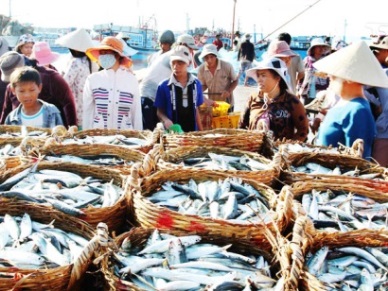 Quang Ngai Fisheries production hit nearly 155,700 MT