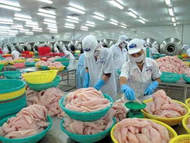 Vietnam casts wider net for Russian fish and seafood market