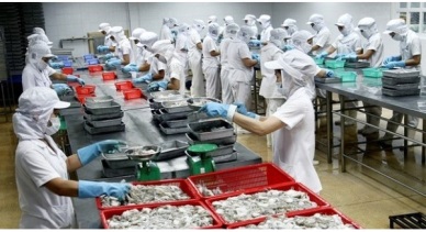 Seaprodex Profit after tax went up 