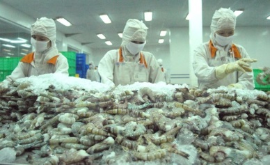 Shrimp by-products should be used