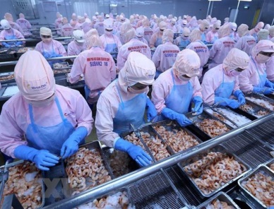 Vietnam - world’s top emerging economy experts