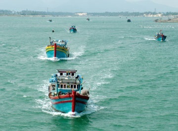 VASEP and Vietnam marine product enterprises’ activities to combat IUU fishing