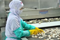 Vietnamese shrimp exporters to US to enjoy zero tariffs