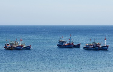 Vietnam stepping up measures to combat illegal fishing 