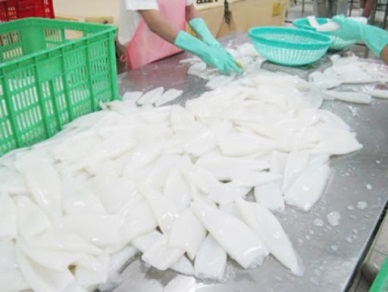 South Korea raised imports of driedsmoked squid from Vietnam