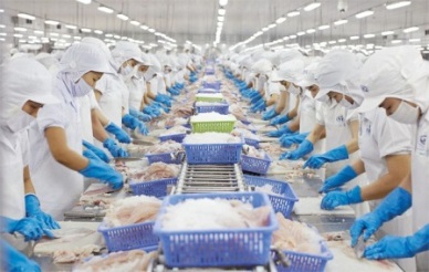 Jan-Aug 2016 Vietnam seafood exports up 4%
