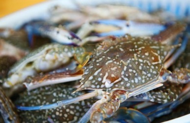 Vietrosco to attend VIETFISH 2016