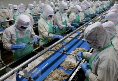 Agro-forestry-fishery export hits 8.7 billion USD in Q1