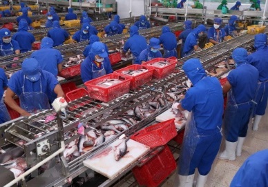 Seafood exports to China surge